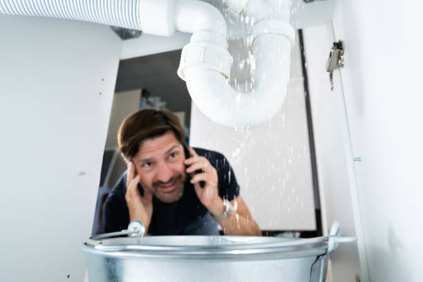 Best Plumbing Inspection Services  in Green Valley, SD